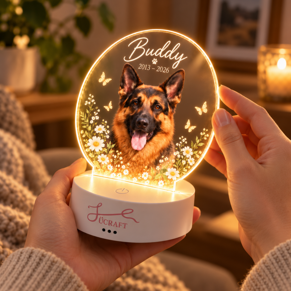 Pet photo turned into a personalized pet memorial night light, example